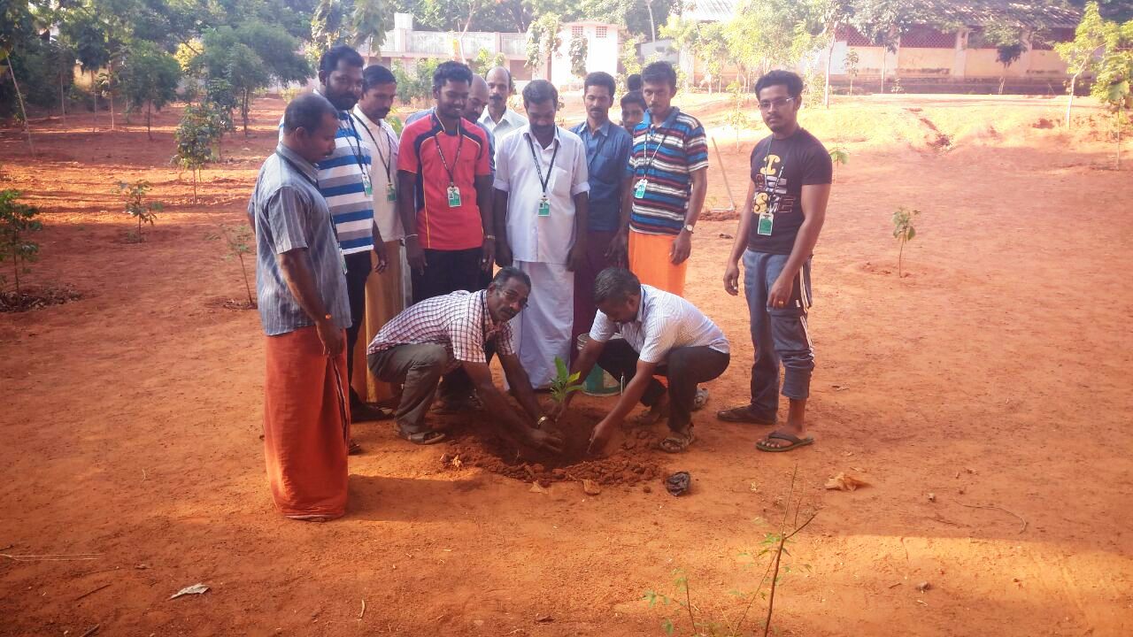 ஒரு லட்சம் மரக்கன்றுகள் நடும் திட்டம்